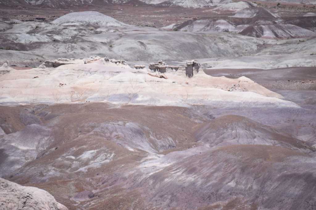 DSC_0094Mittel_.JPG